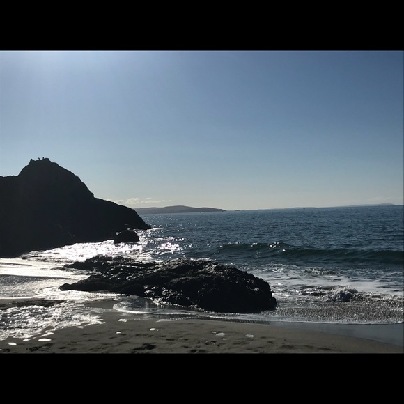 Meet your Posher, Nori - Picture 1 of 1